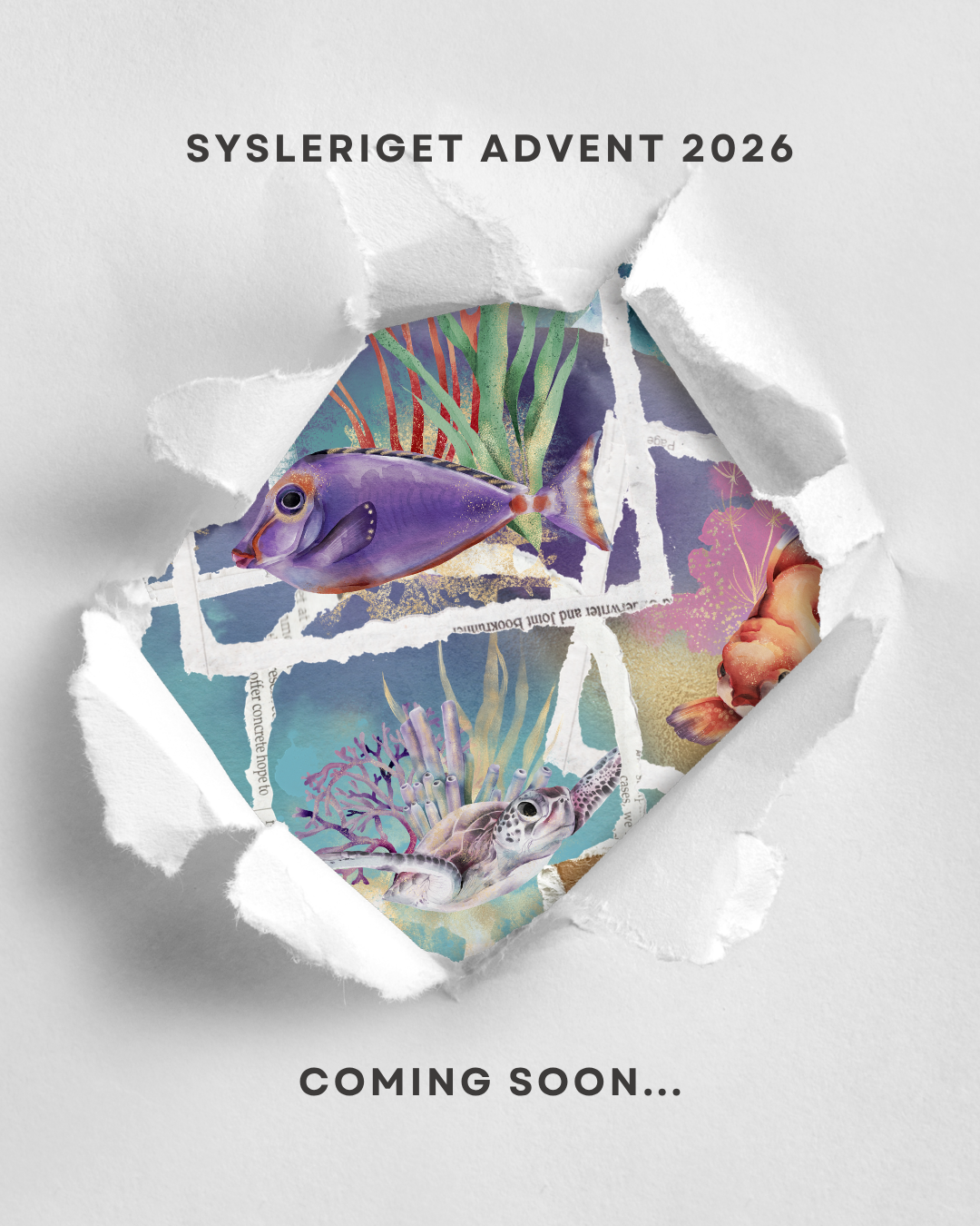Adventcalender 2026 | Underwater World