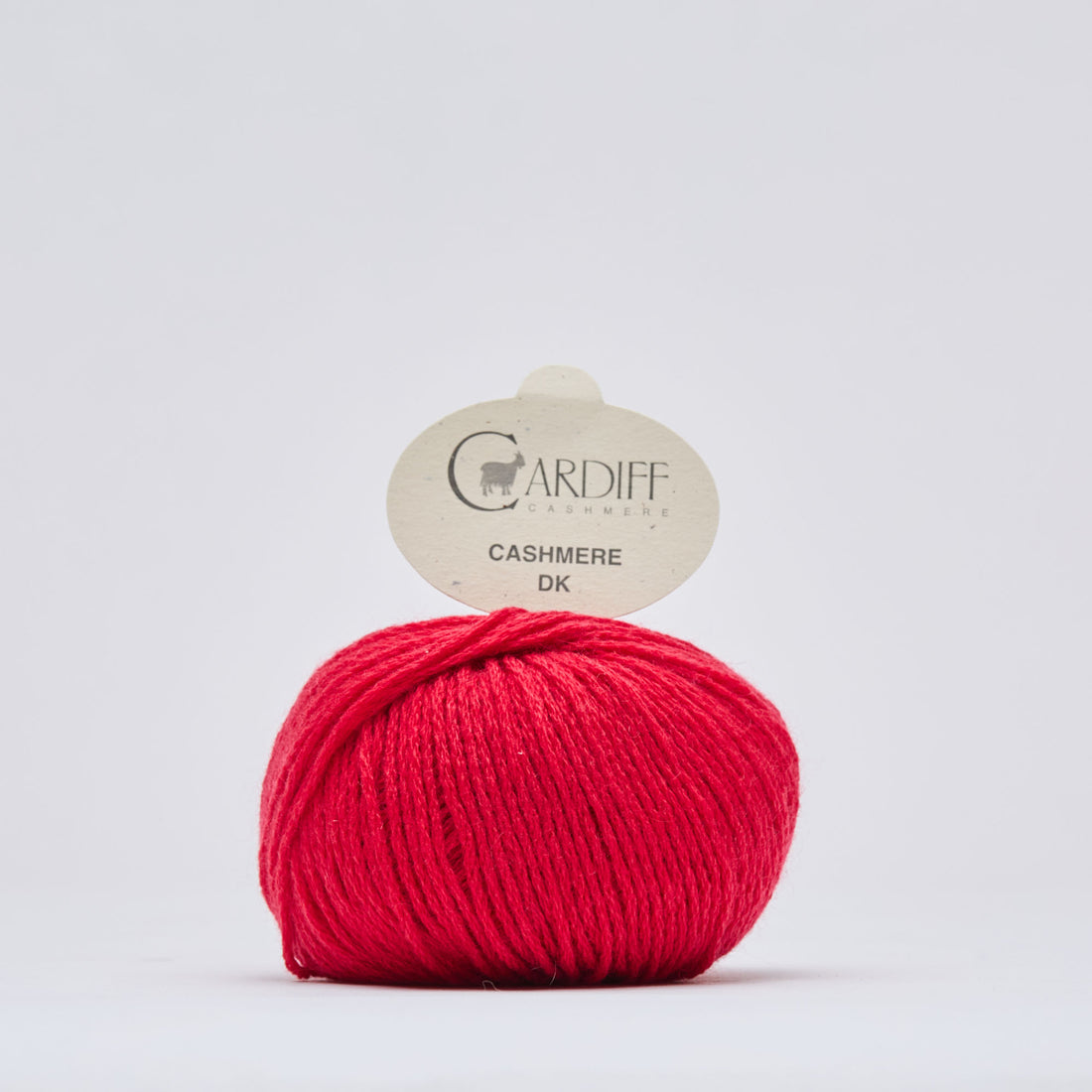 Cardiff Cashmere | Cashmere DK Gerbera 564